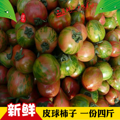 皮球柿子花皮球东北小柿子