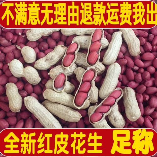 红皮花生新货晒干带壳四粒红炒熟