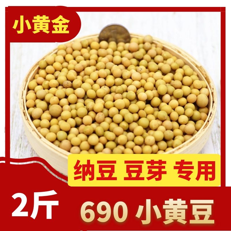 2023东北非转基因新货生发黄豆芽专用690极小粒黄豆纳豆小黄金豆 粮油调味/速食/干货/烘焙 黄豆 原图主图