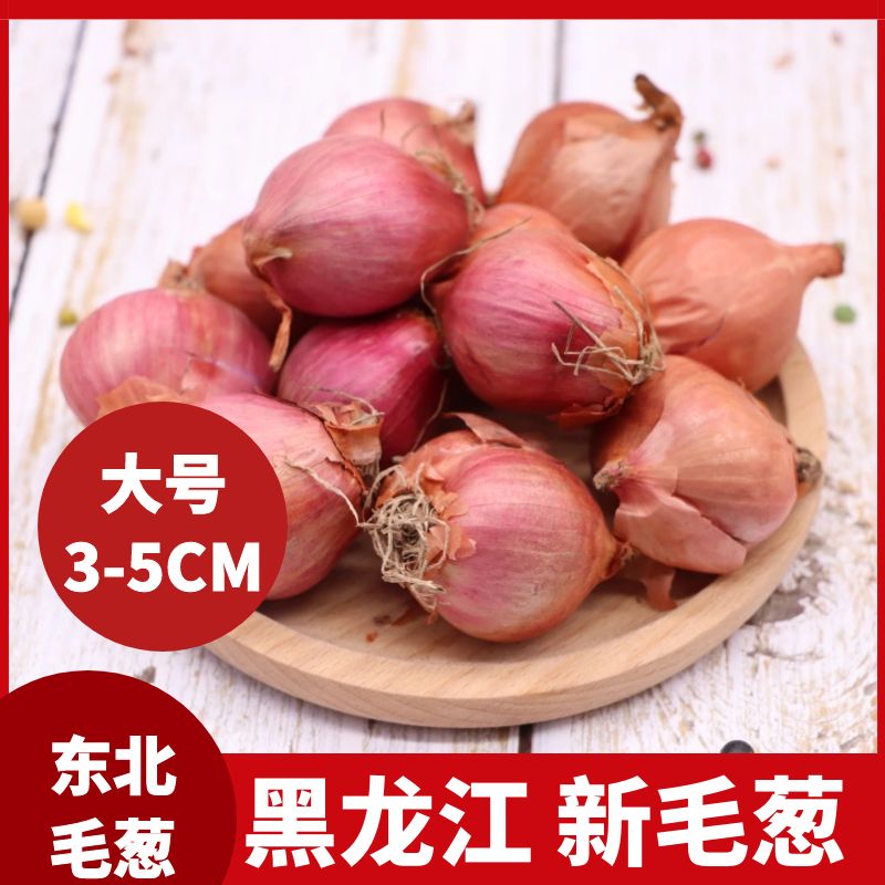 东北大毛葱头农家特产新鲜1斤2斤5斤鬼子葱干小葱头圆红葱头