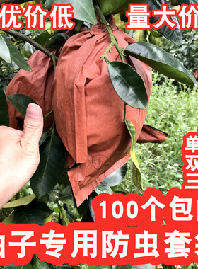 包邮柚子专用防虫鸟水果套袋双30三层32黄红肉三红蜜柚金柚马家柚