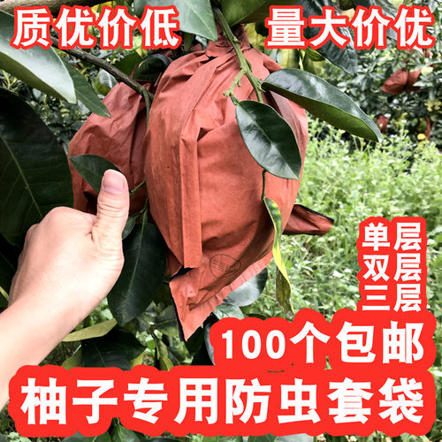 包邮柚子专用防虫水果套袋30三层