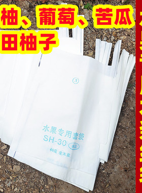 加厚木浆白色柚子防虫鸟套袋青柚葡萄柚芭乐脐橙柑橘苦瓜防水防晒