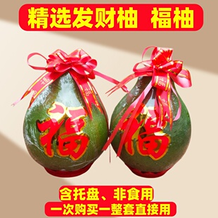 非食用精选新鲜青皮财神柚梅州三红肉蜜柚沙田柚摆景桌上柚福柚子