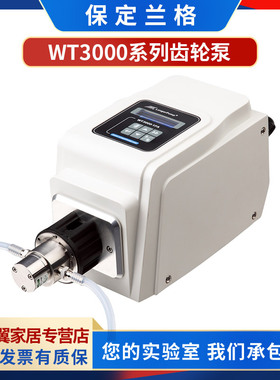 保定兰格WT3000-1JB/1FB/1JA/1FA微型齿轮泵