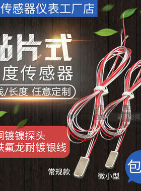 PT100贴片式防水表贴铂电阻探头