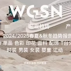 WGSN24和25年春夏秋冬服装设计趋势男装女装婴童主题配饰色彩368