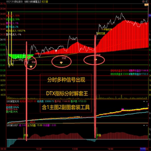 分时多种信号出现DTX指标分时解套王含1主图2副图套装 工具