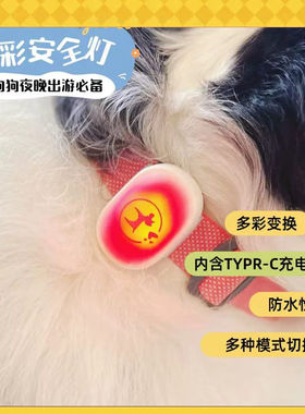 充电款宠物发光安全灯多模式流光防水小型犬夜间出行可视警示挂件