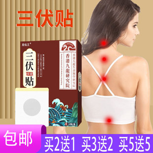 【5送5】周佑王三伏保健贴三伏贴辛夷肉桂甘遂洋金花牛黄甘草