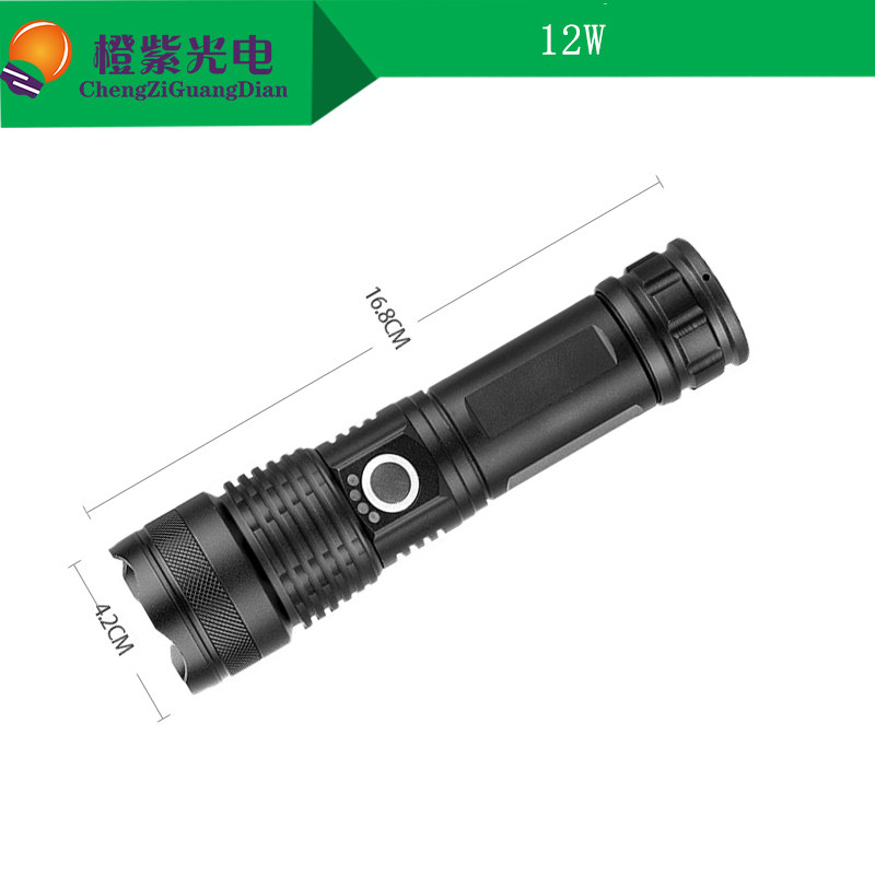 实验测试12W手电筒光源490nm495 500 505 520 525 530便携激发