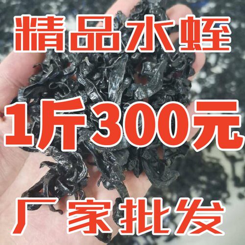 水蛭中药材野生清水水蛭干货干品蚂蟥宽体金线蛭500克包邮水蛭粉
