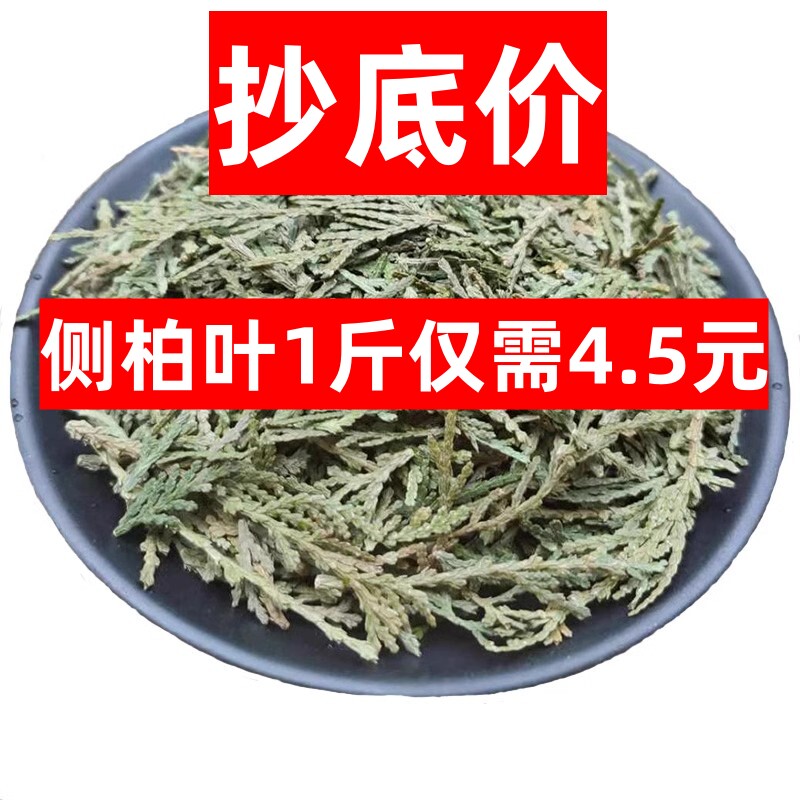 中药材侧柏叶新鲜侧柏叶可搭桑叶苦丁茶叶脱发生发500克包邮