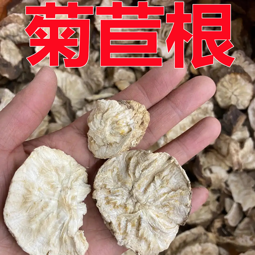 中药材菊苣根 正品生菊苣根 特级菊苣茶 菊苣粉 泡水排酸 500g克