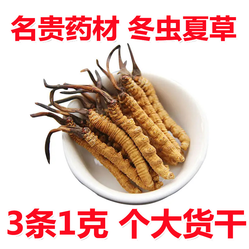 2022新鲜冬虫夏草正品西藏那曲鲜虫草3根1克根头期鲜草中药材名贵