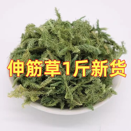 中药材 野生伸筋草 正品舒筋草 泡脚 另售远志益智仁 500克 包邮