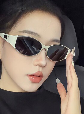 保罗雷朋官网高级感偏光墨镜男女通用防紫外线百搭街拍太阳镜时尚