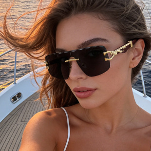 保罗雷朋官网热销跨境方框墨镜豹子设计镜腿太阳眼镜连体镜片男女