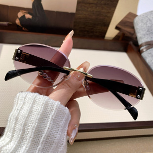 保罗雷朋官网2025款 金属宽腿椭圆墨镜女士高级感无框米钉墨镜网红