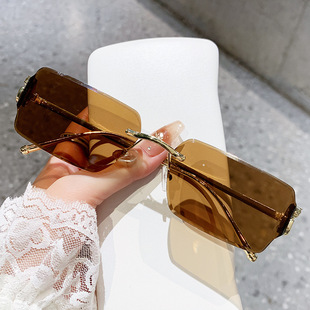 保罗雷朋官网2025新款 太阳镜豹子头镜腿方形无框男女 跨境网红时尚