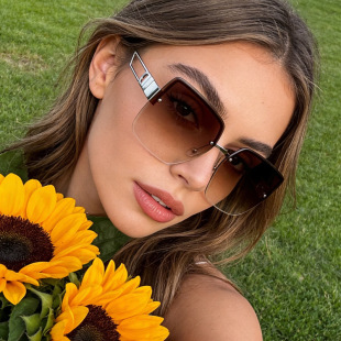 保罗雷朋官网字母D金属茶色墨镜女款 高级感超大框潮酷太 2025新款