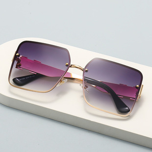 保罗雷朋官网新款 大框H 金属太阳镜男高级感大脸显瘦防紫外线时尚