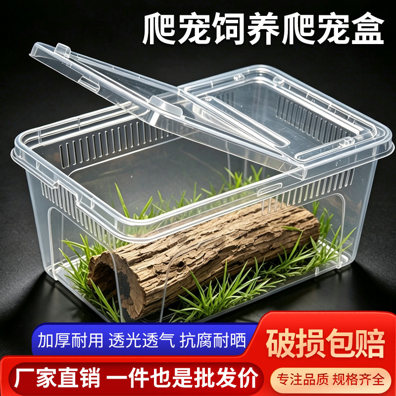 塑料爬宠爬虫饲养盒乌龟缸躲避角蛙寄居蟹守宫盒蜗牛爬宠饲养箱7