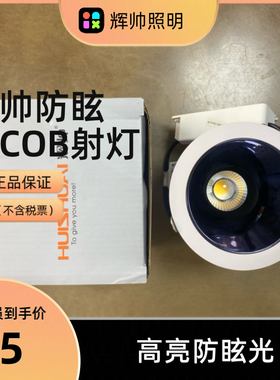 辉帅深杯防炫射灯90显色指数HS-818EC10A天花灯HS-TCOB山丘射灯20