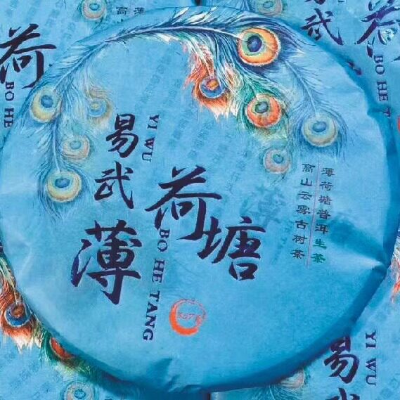 薄荷塘普洱生茶 2019年 高山云雾古树茶 易武薄荷塘 生饼357克