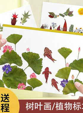 天然真树叶植物标本粘贴画材料包