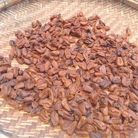 郁南无核黄皮果干，原味无添加剂孕妇儿童零食，2025年新产品