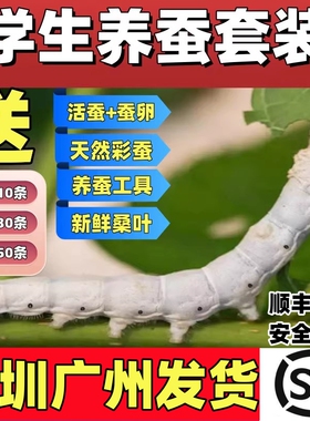 蚕宝宝活体春蚕幼虫活物蚕卵天然彩蚕儿童学生养蚕套装送新鲜桑叶