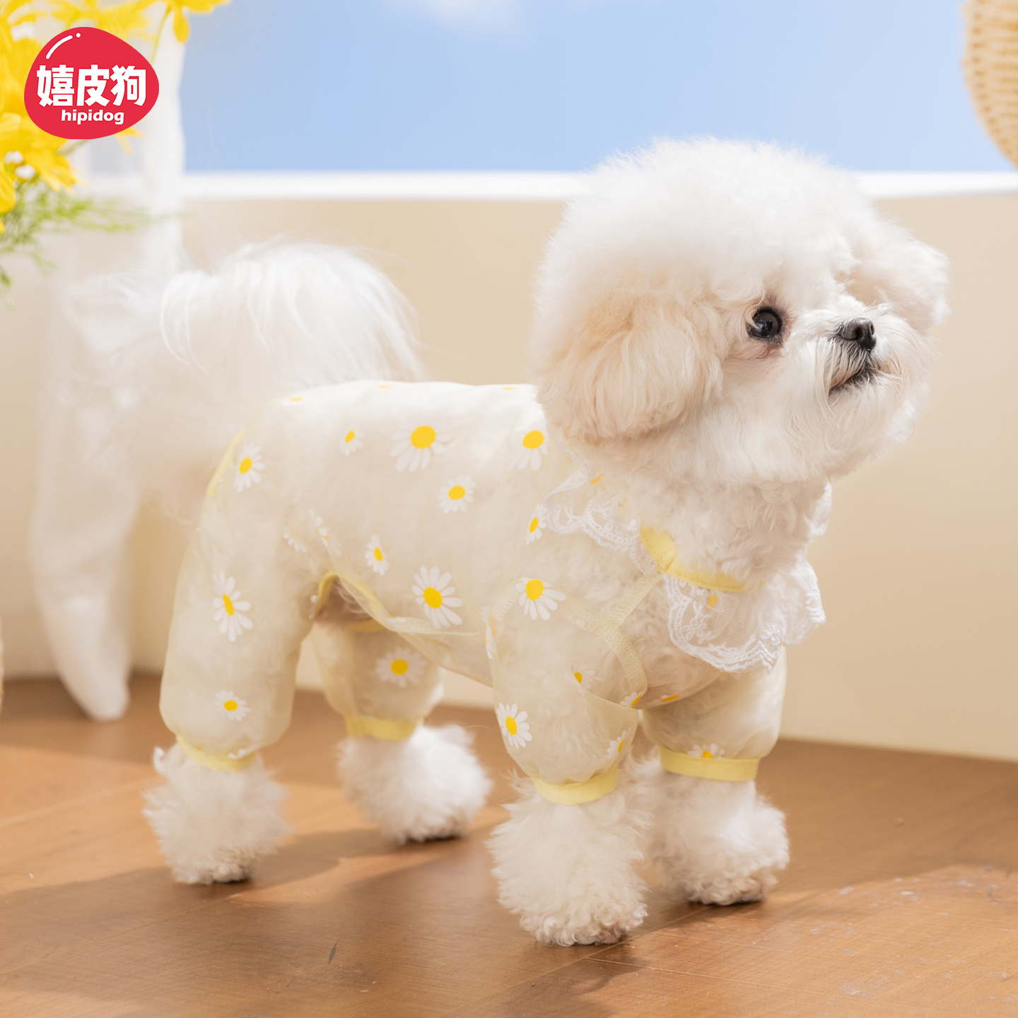 小狗狗衣服嬉皮狗薄款四脚衣比熊泰迪约克夏小型幼犬宠物睡衣夏季