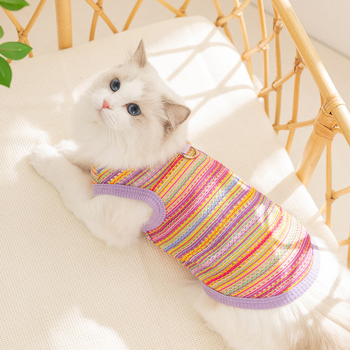 宠物猫咪波西米亚风镂空彩虹背心自带牵引扣小型幼犬布偶猫咪服饰