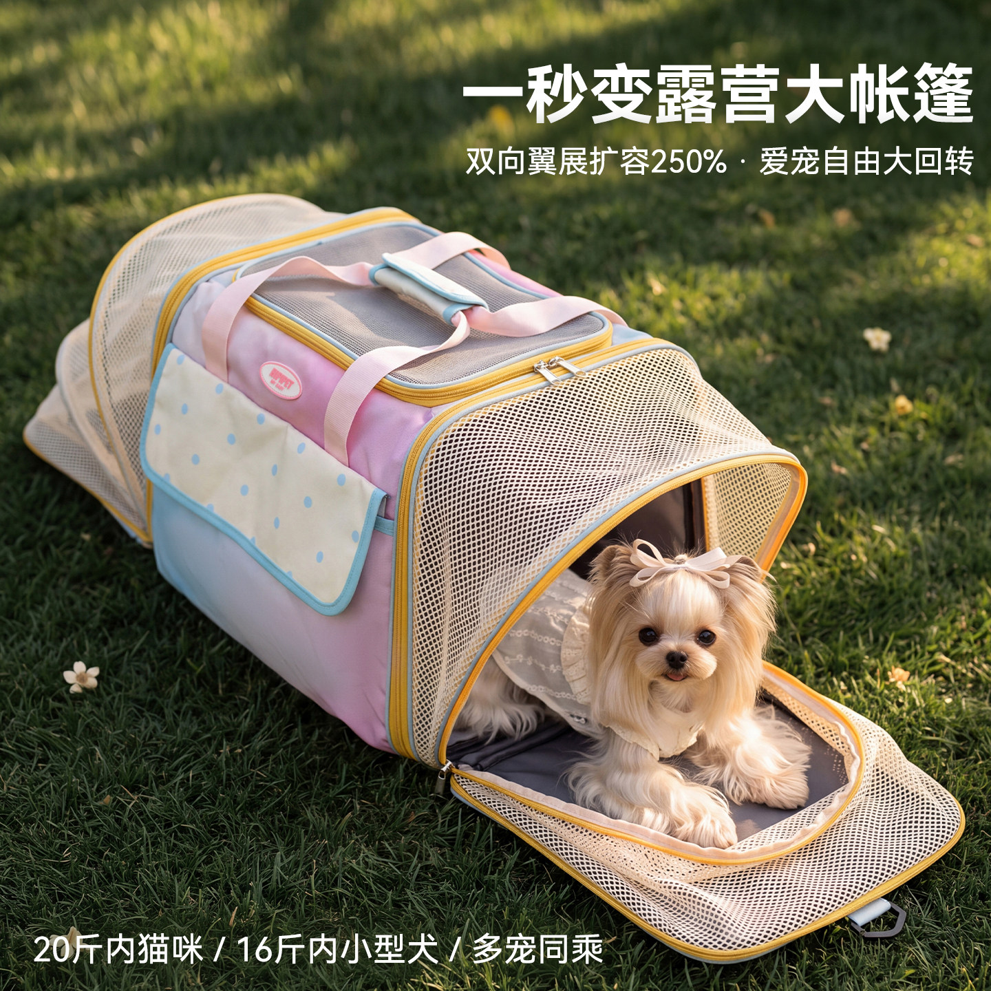 宠物折叠透气外出包便携外带小型犬狗狗携带包大容斜挎外出猫咪包