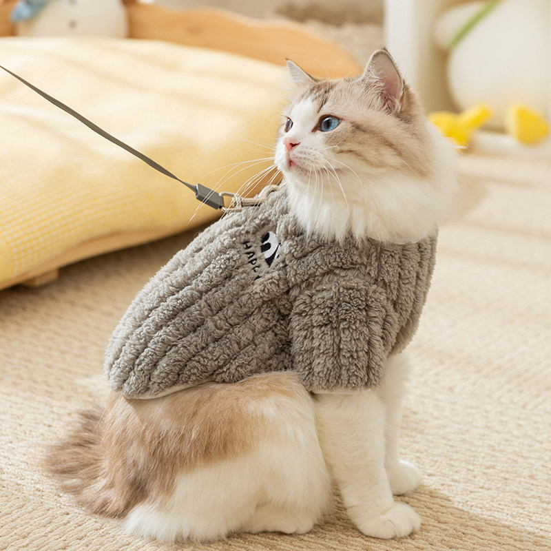 猫咪衣服秋季秋天绒衣可牵引防掉毛德文猫布偶银渐层猫咪宠物服装