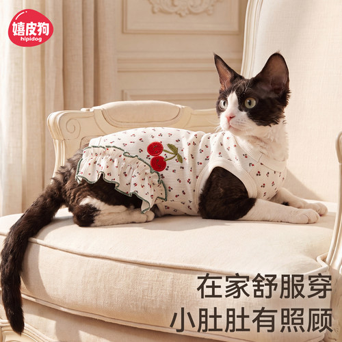 宠物猫咪衣服护肚衣防掉毛德文英短美短包肚防着凉母猫术后绝育服
