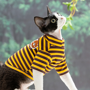 条纹小猫咪衣服春夏季布偶猫蓝猫猫防掉毛宠物薄款春装专用打底衫