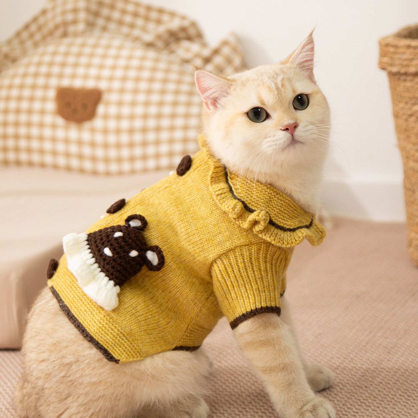 秋冬季猫咪衣服可爱宠物毛衣保暖布偶小猫猫幼猫防掉毛春秋天薄款