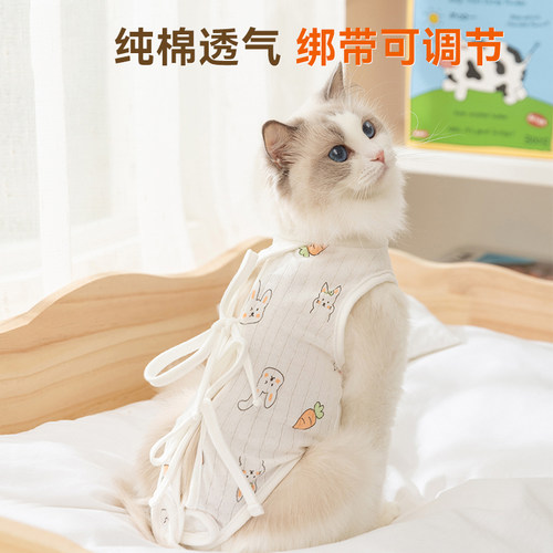 卡通可爱风猫咪绝育服