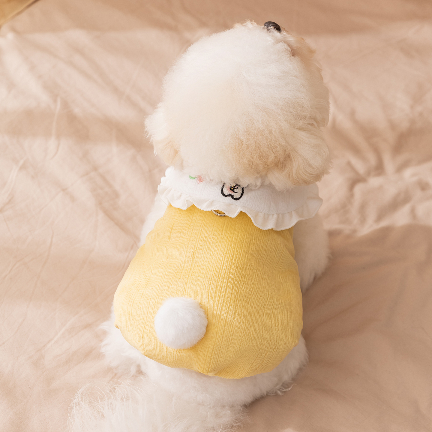 小狗狗衣服马甲泰迪比熊雪纳瑞猫咪小型犬秋冬天加厚保暖宠物冬装