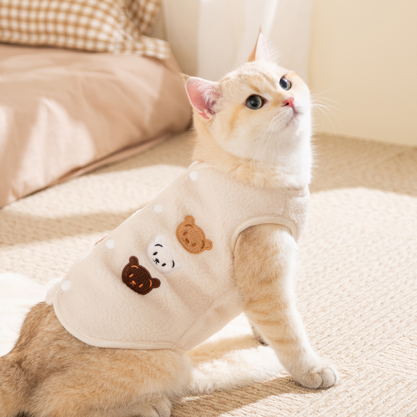 宠物猫咪衣服冬季保暖绒衣防掉毛居家服小型猫背心秋冬款马甲毛衣