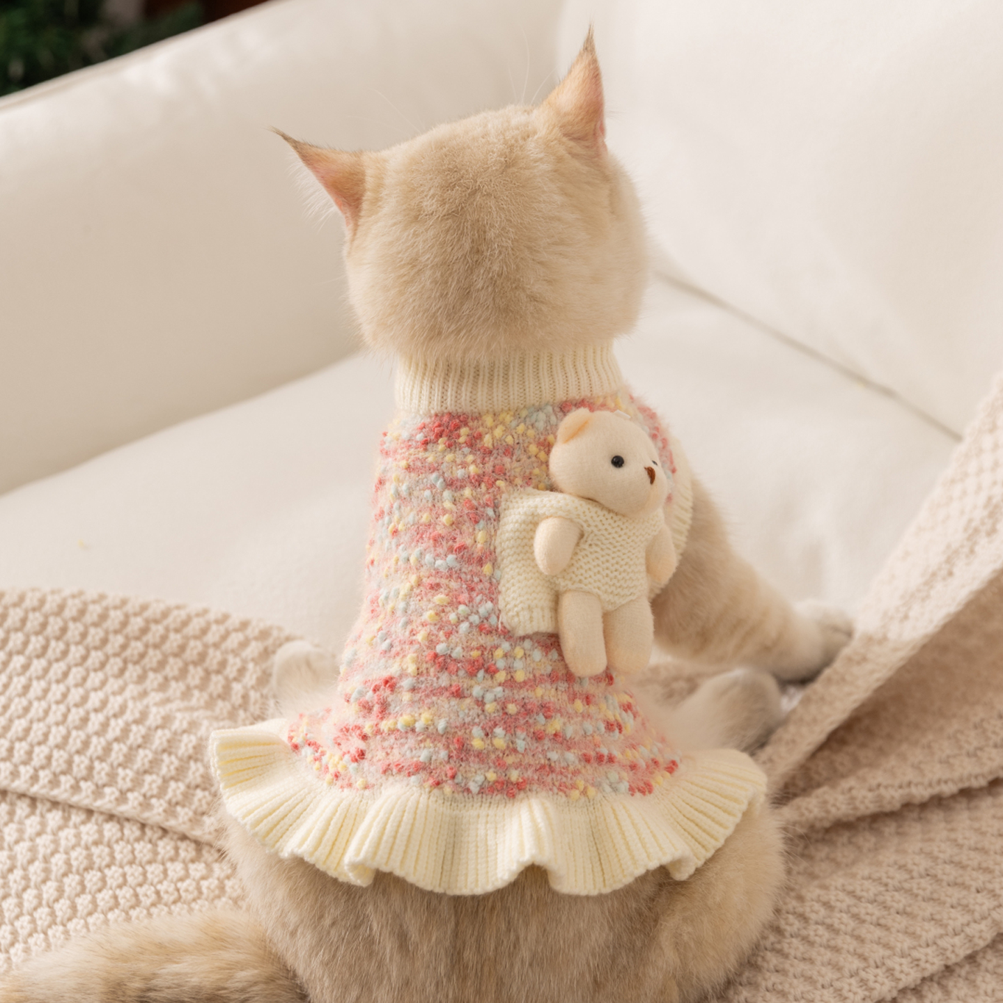 嬉皮狗可爱小熊毛衣秋季小猫咪衣服防掉毛布偶猫猫宠物幼猫秋冬天