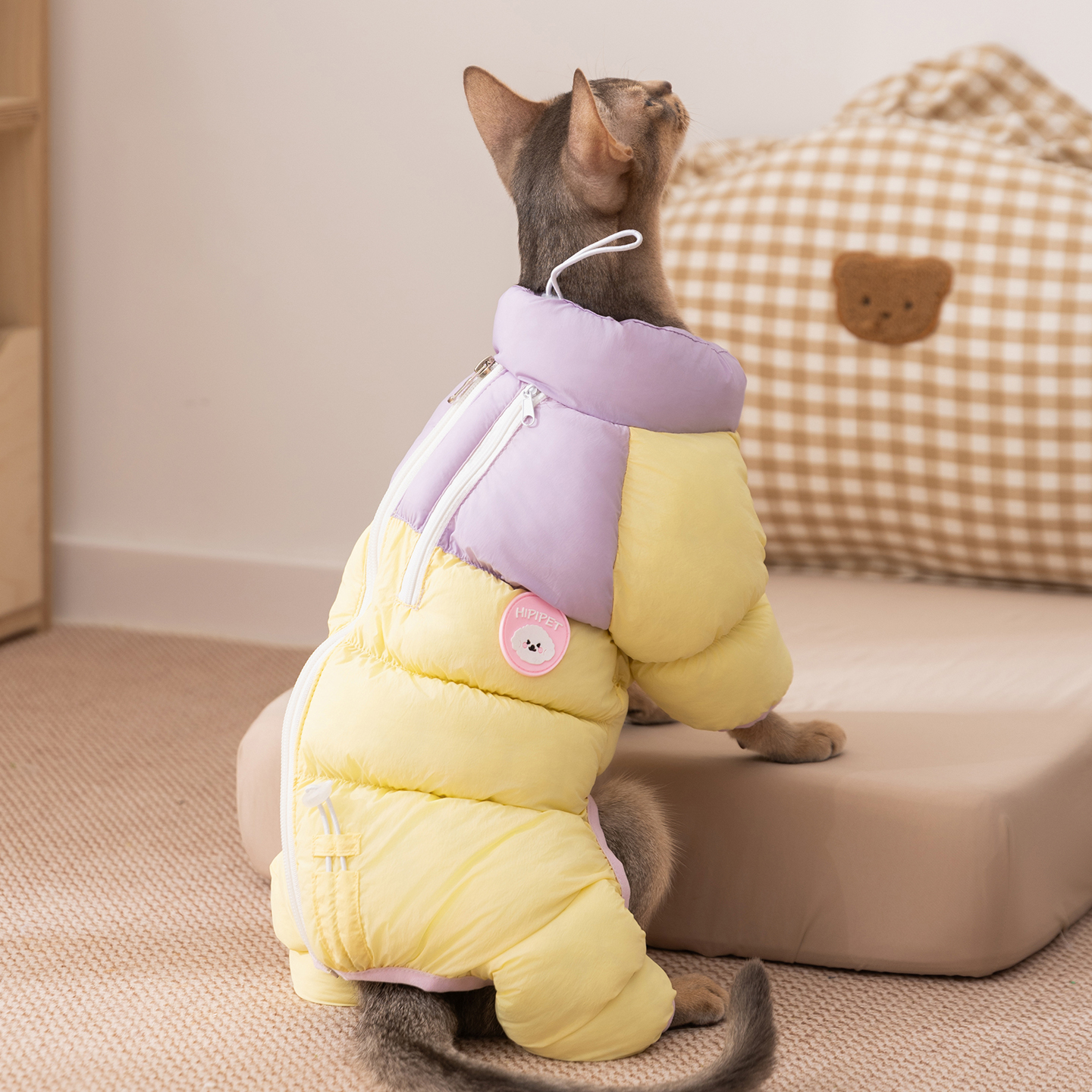 猫猫可爱马卡龙配色四脚棉衣小型宠物秋冬季保暖加厚加绒外出衣服