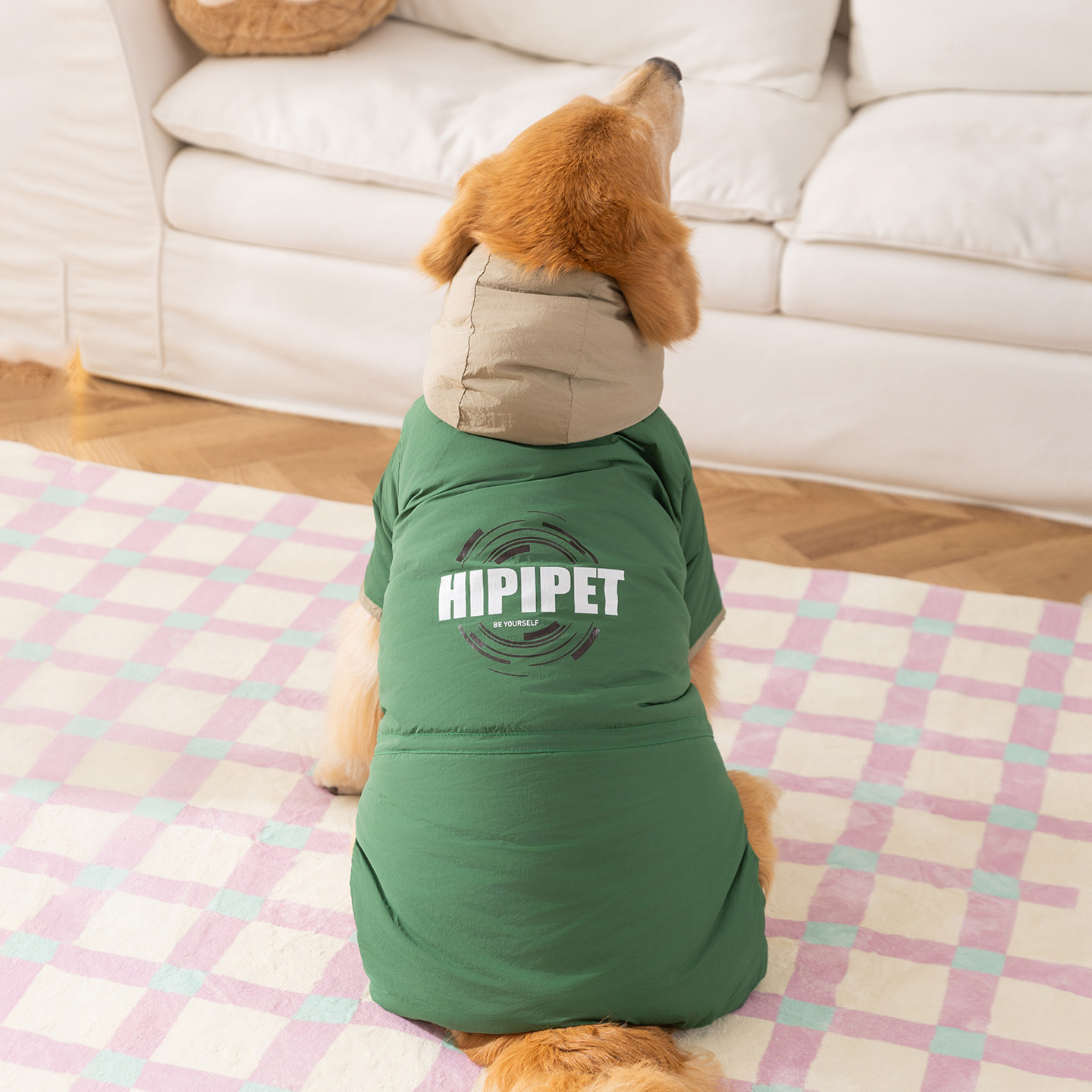 秋冬宠物大狗绗棉冲锋连帽棉衣秋冬加厚四脚衣服大型犬金毛保暖衣,宠物/宠物食品及用品,狗宠物服装/雨衣,淘宝优惠券,粉丝福利购,淘宝优惠卷