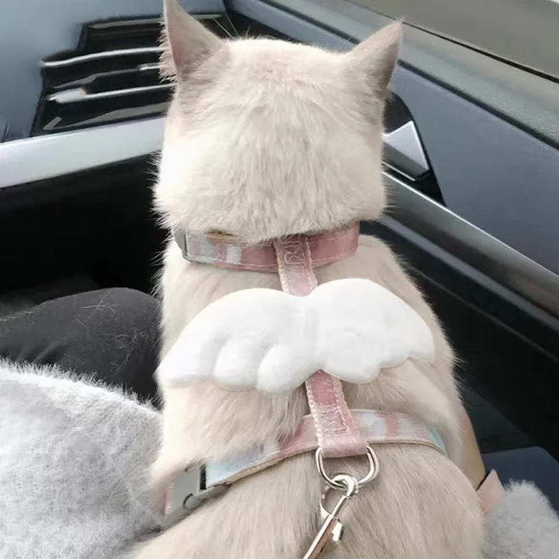 猫咪牵引绳防挣脱外出专用