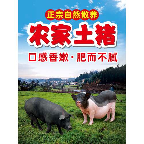 农家土猪肉广告黑猪肉摆摊海报生鲜超市菜市场鲜肉店墙面自粘贴纸