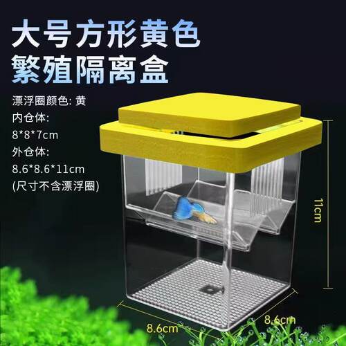 鱼缸孵化器小鱼小型鱼苗漂浮隔离盒母鱼孵化盒悬浮式孔雀鱼繁殖盒