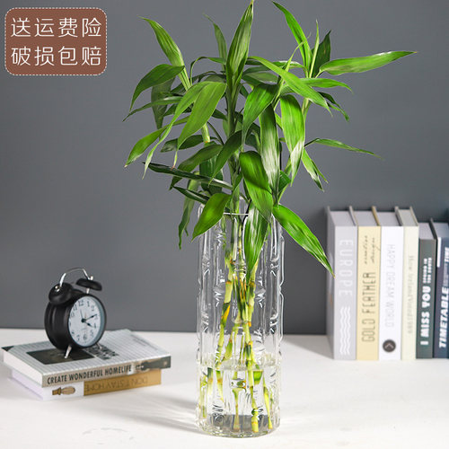 特大号落地富贵竹直筒家用花瓶