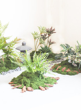 安装方便的绿植造景造景组合套装